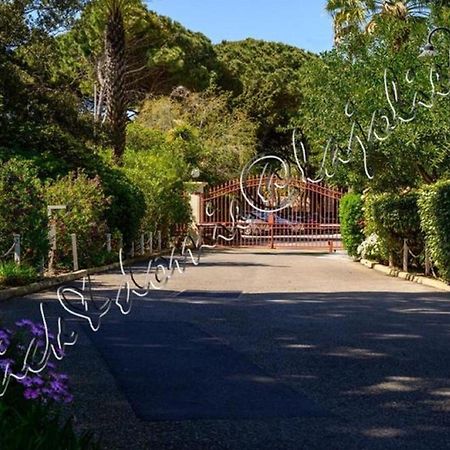 Magnifique Parc de la Presqu'île avec Piscine et Plage face à Porquerolles ! Hyères Extérieur photo