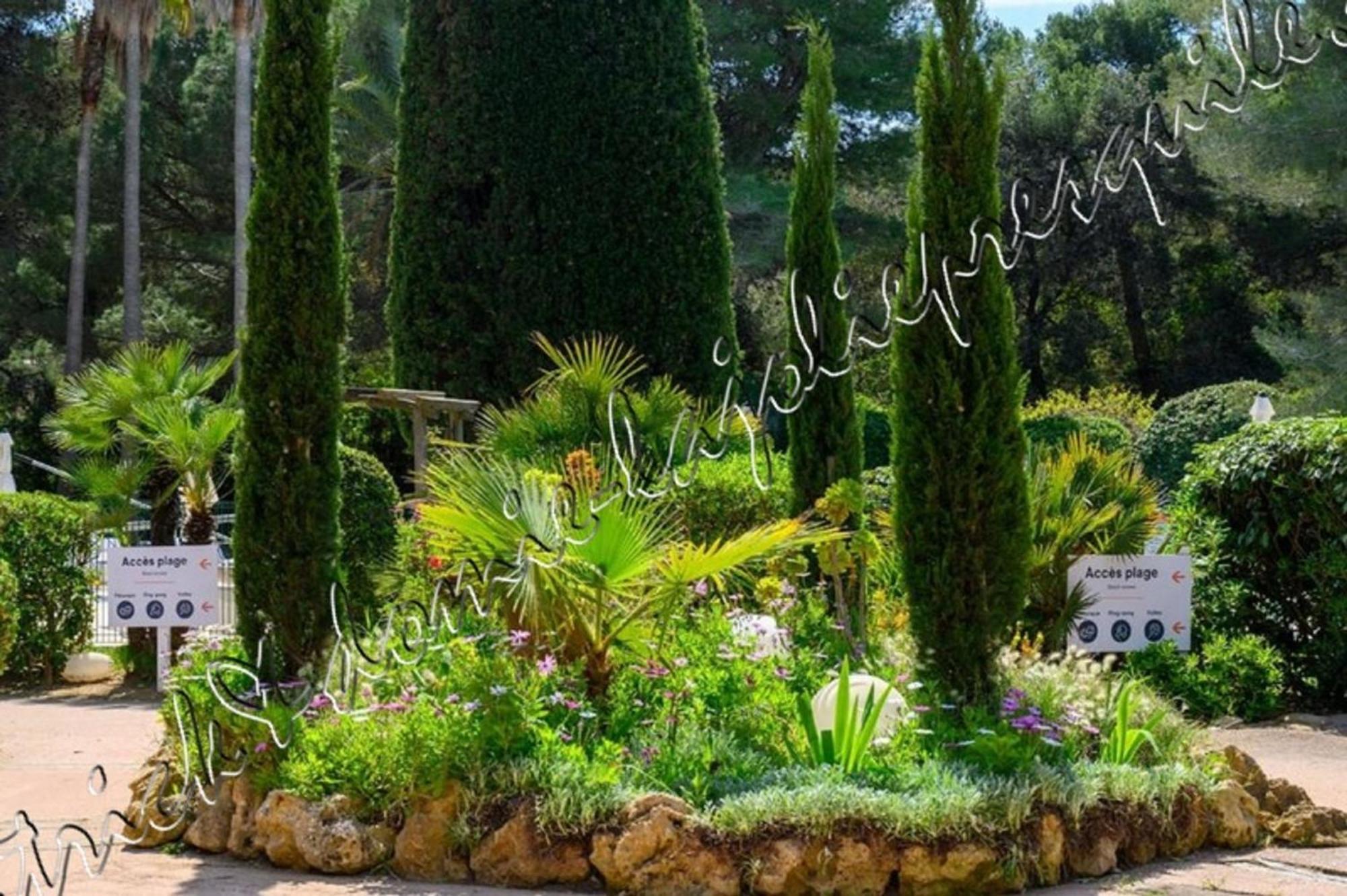 Magnifique Parc de la Presqu'île avec Piscine et Plage face à Porquerolles ! Hyères Extérieur photo