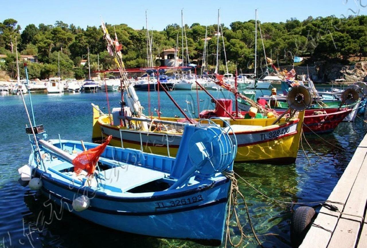 Magnifique Parc de la Presqu'île avec Piscine et Plage face à Porquerolles ! Hyères Extérieur photo