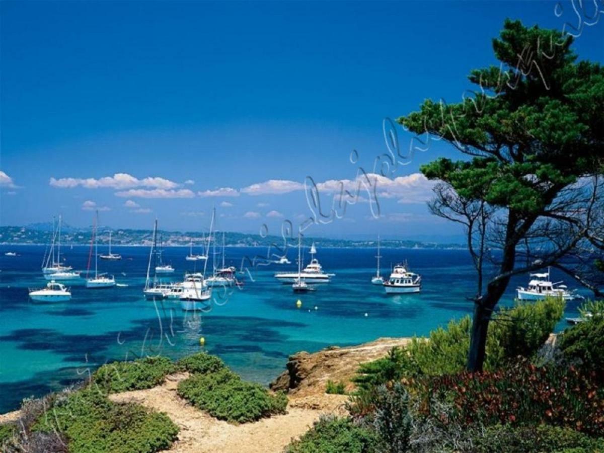 Magnifique Parc de la Presqu'île avec Piscine et Plage face à Porquerolles ! Hyères Extérieur photo