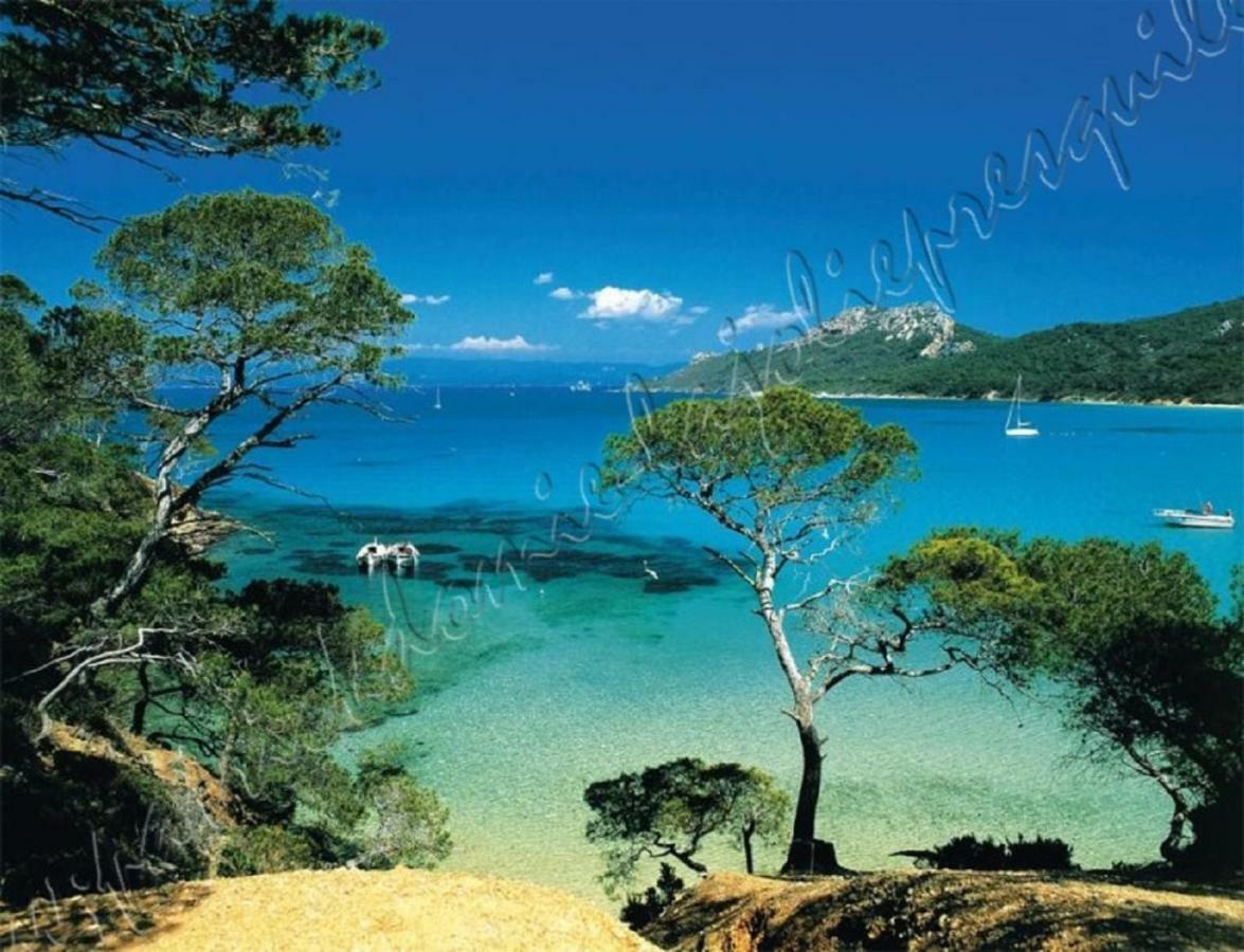 Magnifique Parc de la Presqu'île avec Piscine et Plage face à Porquerolles ! Hyères Extérieur photo