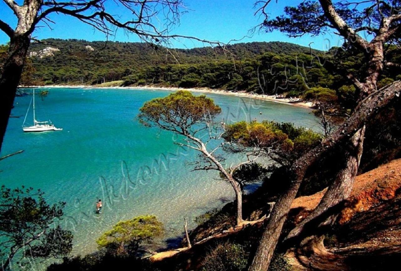 Magnifique Parc de la Presqu'île avec Piscine et Plage face à Porquerolles ! Hyères Extérieur photo