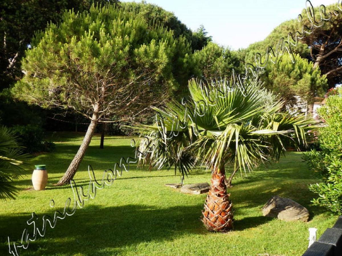 Magnifique Parc de la Presqu'île avec Piscine et Plage face à Porquerolles ! Hyères Extérieur photo